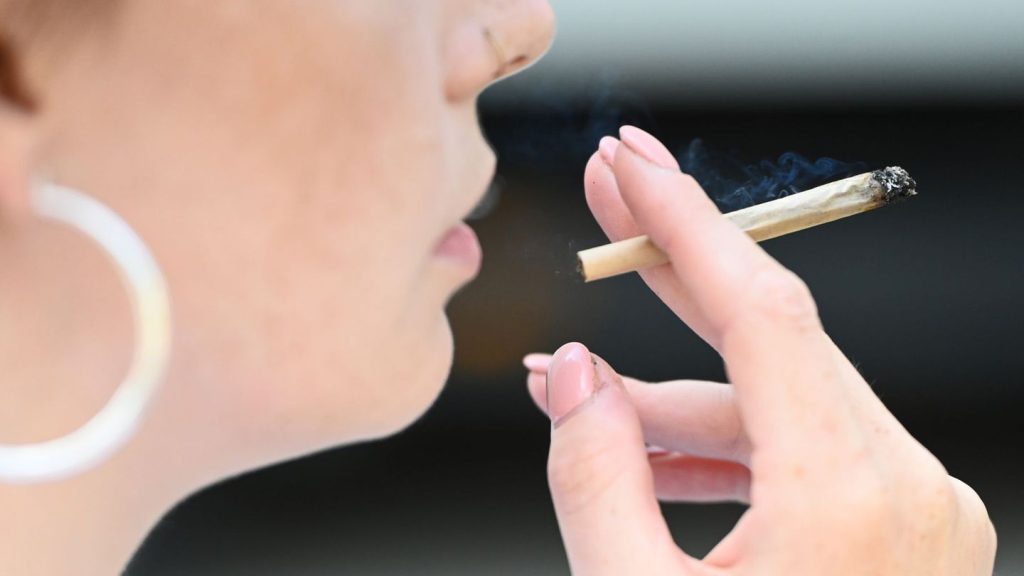 Drogenpolitik: Bericht: Noch kein Verdrängen des Cannabis-Schwarzmarkts
