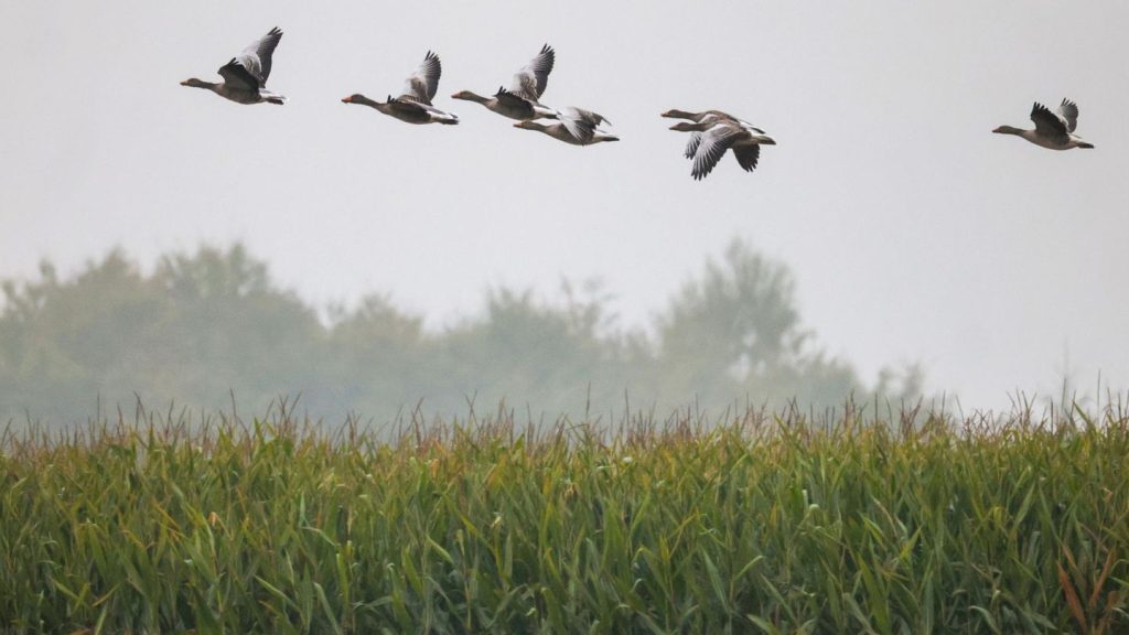 Wettervorhersage: Wechselhaftes Wetter zum Wochenstart im Südwesten