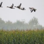 Wettervorhersage: Wechselhaftes Wetter zum Wochenstart im Südwesten