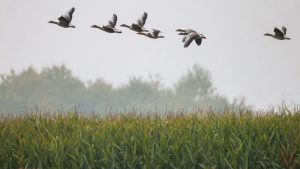 Wettervorhersage: Wechselhaftes Wetter zum Wochenstart im Südwesten