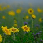 Wettervorhersage: Sonnige Tage, frostige Nächte in Berlin und Brandenburg