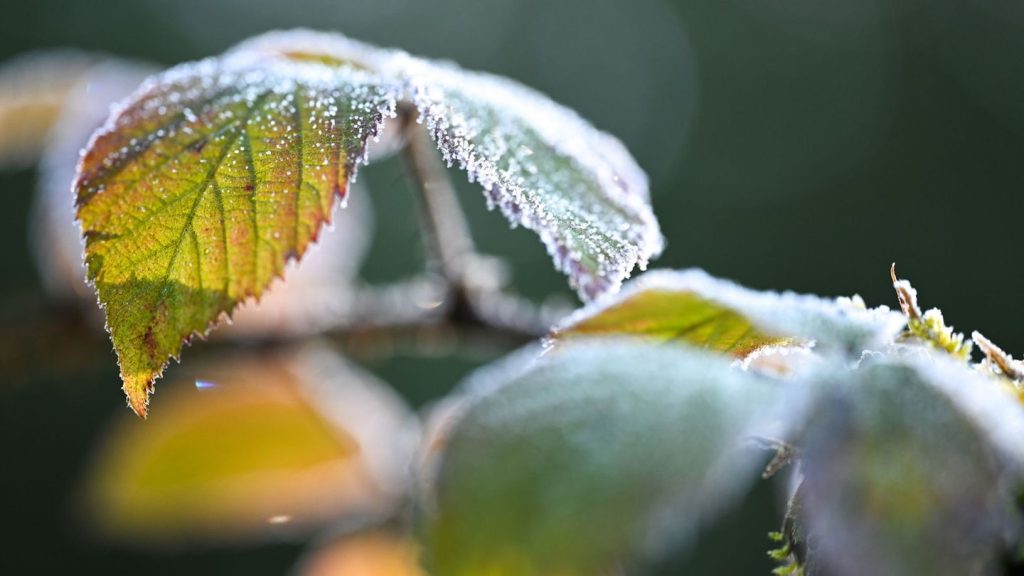 Wettervorhersage: Mehr Sonne und kühle Nächte