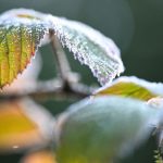 Wettervorhersage: Mehr Sonne und kühle Nächte