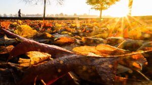Wetter: Sonnige Tage, kühle Nächte – Herbst zeigt sich freundlich