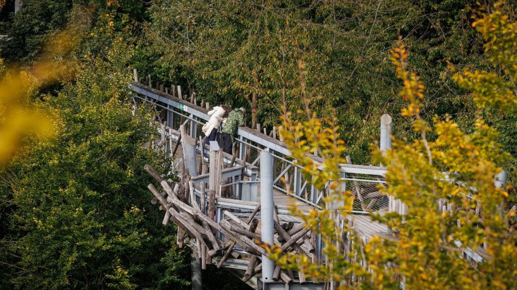 Steuerverschwendung?: Baumwipfelpfad als Kostenfalle - Kritik an Attraktion