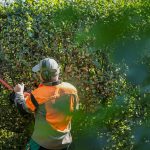 Neuerungen und Änderungen: Was sich im Oktober für Sie ändert