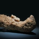 Paläontologie: Steinzeit-Cousin: Auf der Suche nach dem mysteriösen Denisova-Menschen