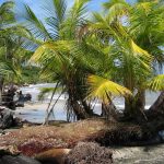 Kriminalität: Getötetes Paar in Costa Rica: Frau war Österreicherin