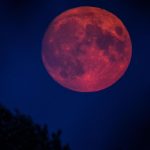 Totale Mondfinsternis: Seltenes Himmelsspektakel: Vollmond wird im September zum Blutmond