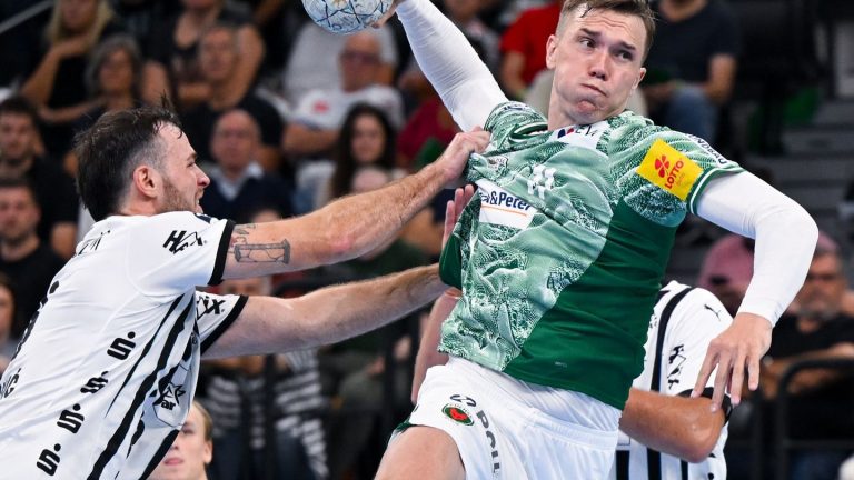 Handball-Bundesliga: Füchse Berlin gewinnen nach hartem Kampf bei Erlangen