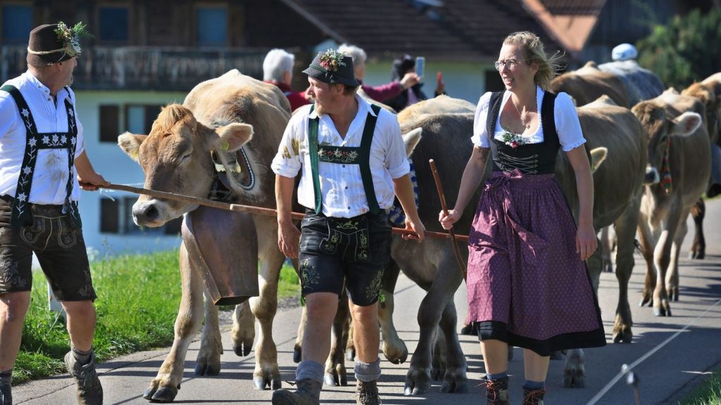 Almwirtschaft: Älpler blicken auf turbulenten Bergsommer zurück