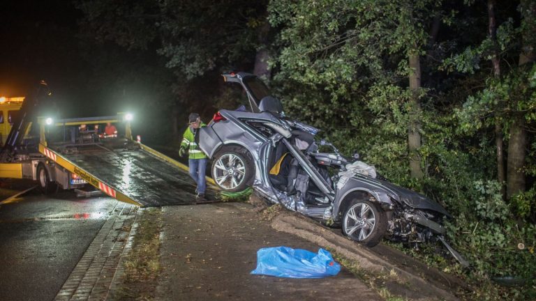 Landkreis Lüneburg: Auto prallt gegen Bäume – zwei Menschen sterben