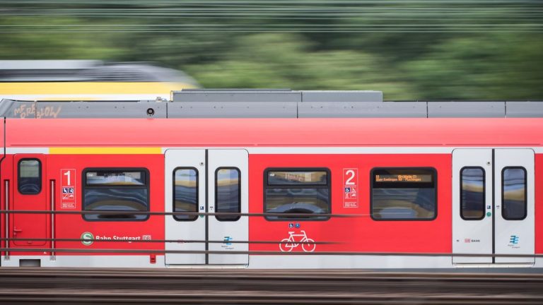 Stuttgart: Bratsche in Bahn verschwunden – Polizei vermutet Diebstahl