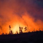 Waldbrandbekämpfung: Drohnen und KI helfen bei früher Waldbrand-Erkennung