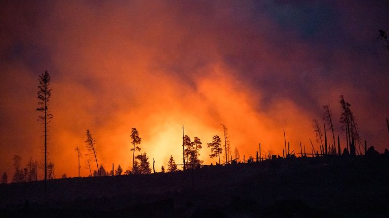 Waldbrandbekämpfung: Drohnen und KI helfen bei früher Waldbrand-Erkennung