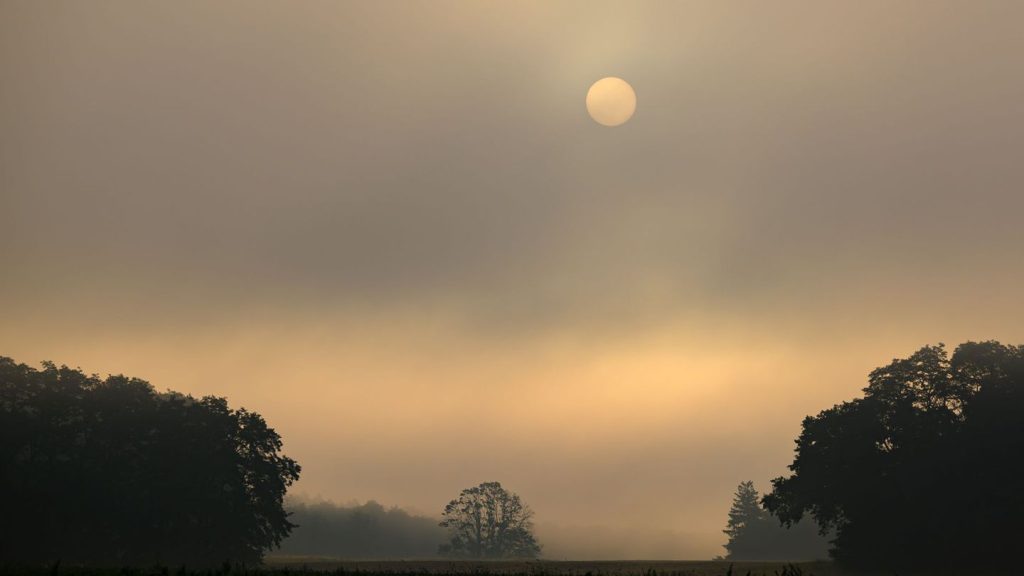 Wetter: Viele Wolken, kaum Regen: Wochenende in der Hauptstadtregion