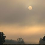 Wetter: Viele Wolken, kaum Regen: Wochenende in der Hauptstadtregion