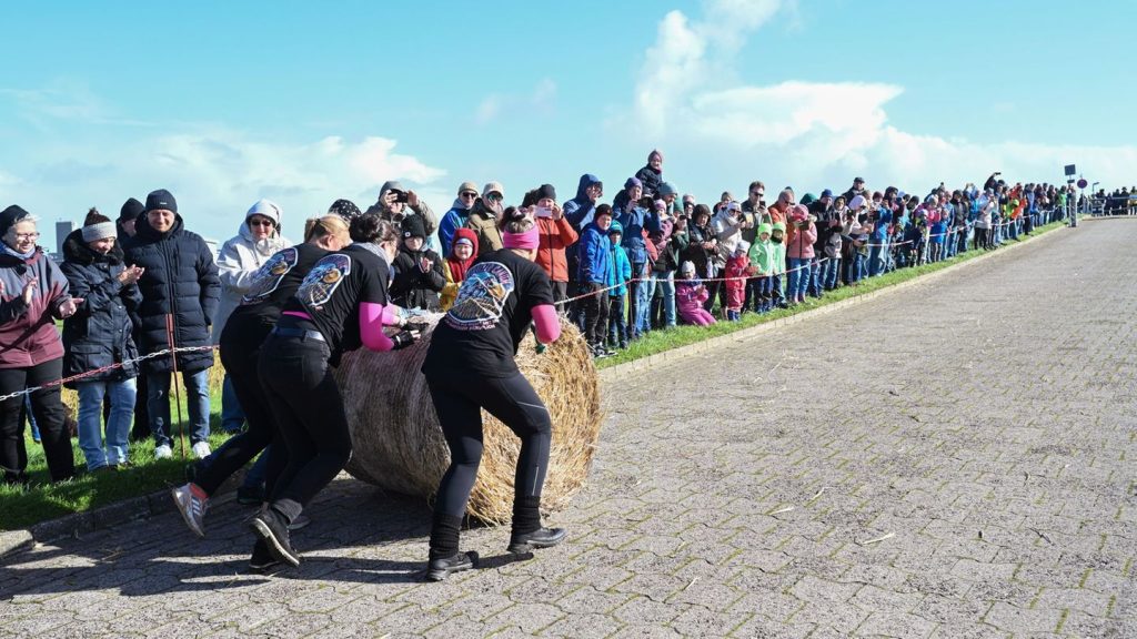Kurioser Wettkampf am Deich: In Ostfriesland werden "Strohballen-Rollmeister" gesucht
