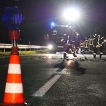 Unfälle: Zwei Autofahrer bei Kollision mit Rindern verletzt