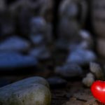 Gedenktag am 15. Oktober: Ruheplätze für "Sternenkinder" auf Thüringer Friedhöfen