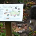 Naturschutz: Mehr Vielfalt auf dem Friedhof: Nabu zeigt, wie es geht