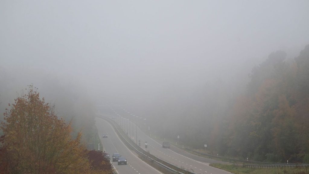 Wetterbericht: Sonne bleibt rar und nächste Woche bringt Regen mit sich