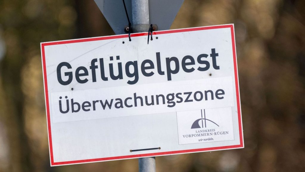 Vogelgrippe: Geflügelpest-Verdacht - Zugang am Stausee Kelbra begrenzt