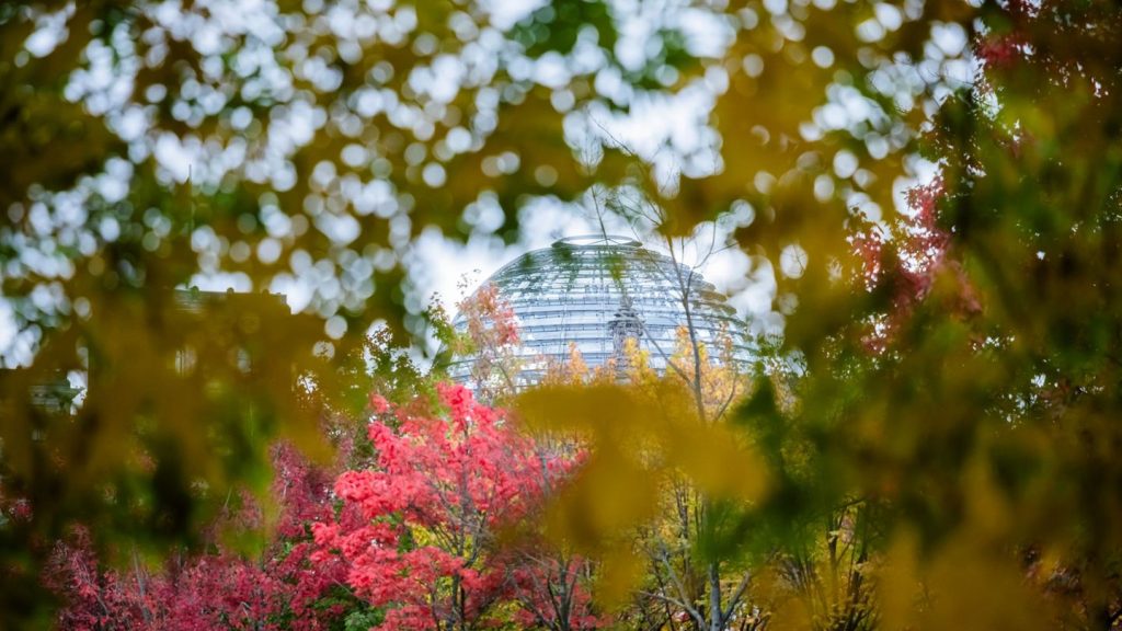 Klimaschutz: Mehr Bäume für Berlin geplant