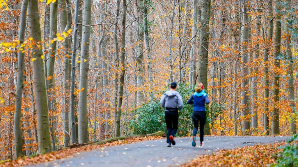 Wetter-Vorhersage: Wochenende wird vielerorts sonnig - Nachtfrost im Osten