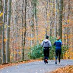 Wetter-Vorhersage: Wochenende wird vielerorts sonnig - Nachtfrost im Osten