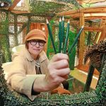 Kunst zum Mitmachen: 500.000 Bleistifte in Holzhaus – Werk soll weiter wachsen