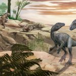 Entdeckung in den Anden: Fossilienfund in Argentinien: Einer der ältesten Dinosaurier