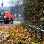 Wetter: Herbst-Schmuddelwetter zum Wochenstart