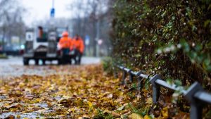 Wetter: Herbst-Schmuddelwetter zum Wochenstart