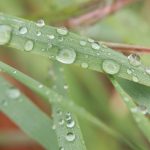 Wetter: Wechselhaftes Wetter zum Wochenstart in Sachsen-Anhalt