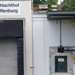 Tierschutzvergehen: Mittlerweile zehn Beschuldigte im Schlachthofskandal