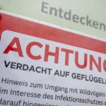 Verdacht auf Geflügelpest: Vogelgrippe bei toter Kanadagans in Essen nachgewiesen
