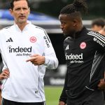 Fußball: Frankfurt-Profi bangt um seine Katze - Aufruf zur Blutspende