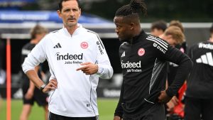 Fußball: Frankfurt-Profi bangt um seine Katze - Aufruf zur Blutspende