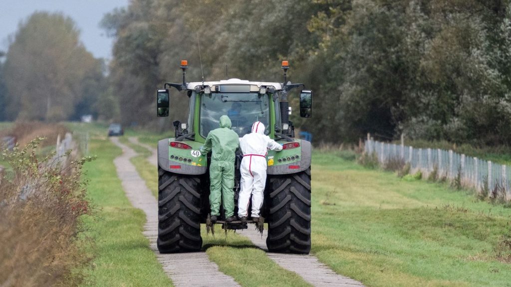 Tierseuche in Brandenburg: Ausnahmezustand Vogelgrippe: Neuer Ausbruch in Enten-Betrieb