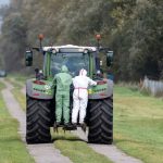 Tierseuche in Brandenburg: Ausnahmezustand Vogelgrippe: Neuer Ausbruch in Enten-Betrieb