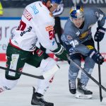 Eishockey: Eisbären verpflichten Abwehrspieler Lancaster aus München