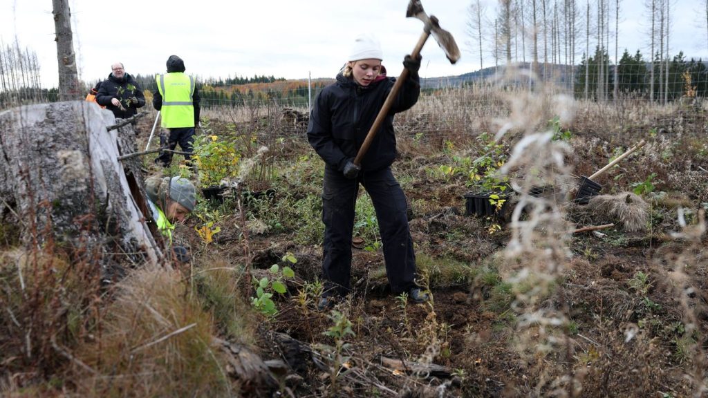 Naturschutz: 35 Jahre Bergwaldprojekt – wie sich der Wald verändert hat