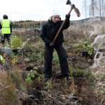 Naturschutz: 35 Jahre Bergwaldprojekt – wie sich der Wald verändert hat