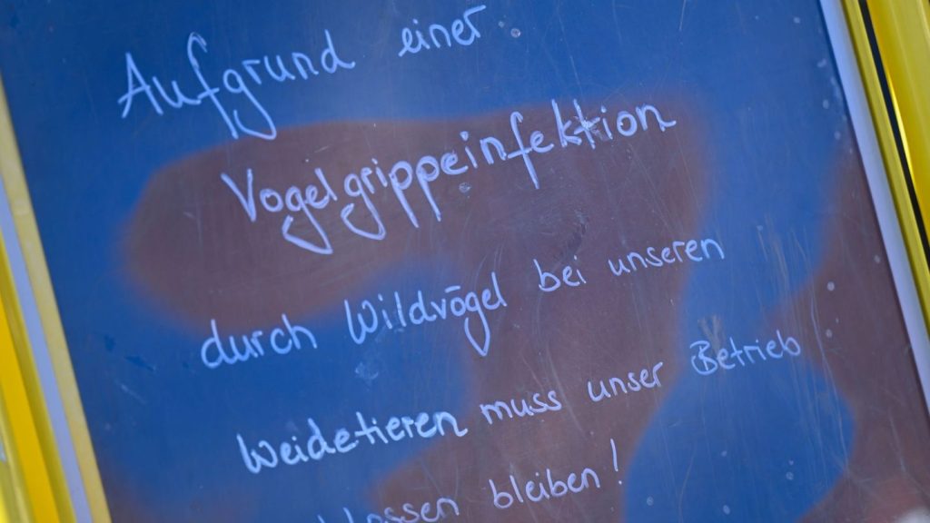 Tierseuche: Geflügelhalter: Bundesweite Stallpflicht gegen Vogelgrippe