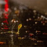 Wetter: Nasses Herbstwetter in Rheinland-Pfalz und Saarland