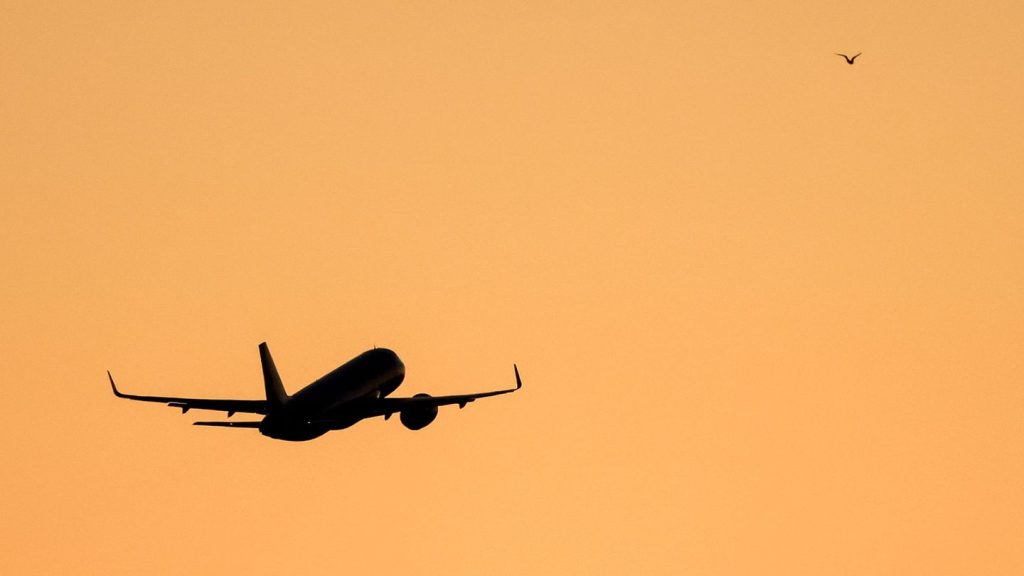 Betrunkener Fluggast: Bundespolizei holt betrunkenen Passagier aus Flugzeug