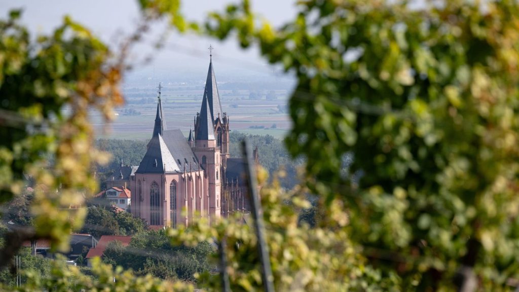 Tagungen und Kongresse: Geschäftsreisen als Chance für den Tourismus im Land