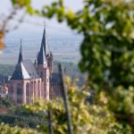 Tagungen und Kongresse: Geschäftsreisen als Chance für den Tourismus im Land