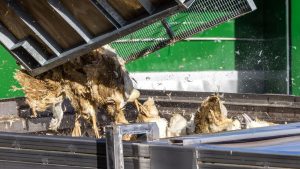 Tierseuche: Geflügelwirtschaft: Keine kurzfristige Preisexplosion